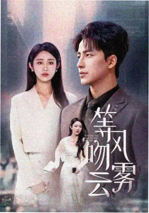 暖阳之下 电视剧 2024